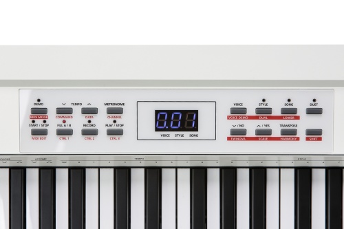 KURZWEIL KA70 WH фото 2